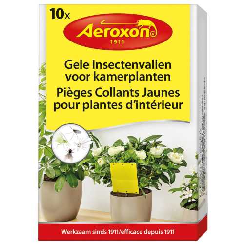 Foto van Aeroxon Insectenvallen Voor Kamerplanten 14,3 Cm Geel 10 Stuks