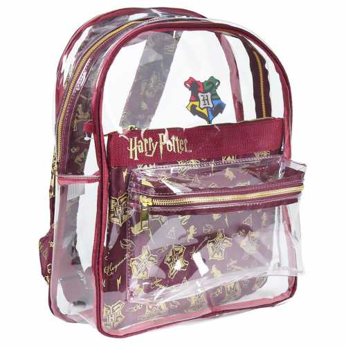 Foto van Harry Potter Hogwarts Transparent Backpack
